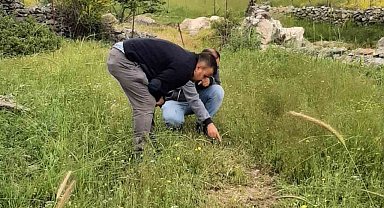 Bitki sağlığı ile ilgili kontroller tamam