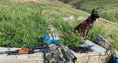 Bitlis merkezli silah kaçakçılığı operasyonu