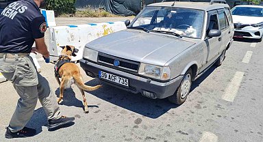 Bodrum'da 48 saatte 50 bin araç girdi