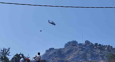 Bodrum'da otluk ve makilik yangını