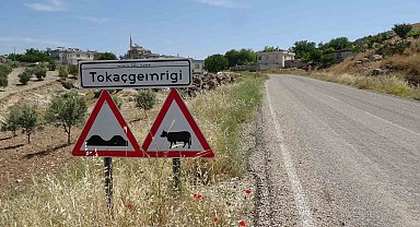 Bu köyde 97 seçmenden 96'sı Cumhurbaşkanı Erdoğan'a destek verdi