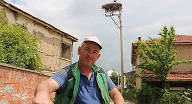 Bu leylekler 15 yıldır aynı yere yuva yapıyor