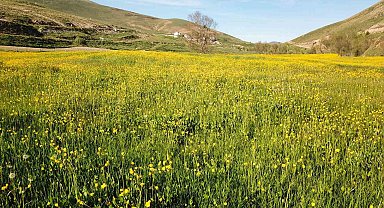 Bu manzarayı görebilmek için 10 gün kaldı