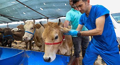 Buca'da Kurban Bayramı öncesi ekipler denetimde
