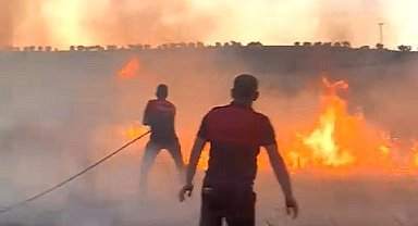Buğday tarlası yandı