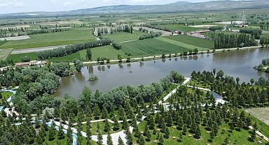 Bünyesinde kokulu bitkilerin olduğu Millet Bahçesi hizmete girdi