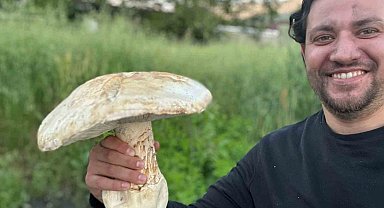 Burdur'da 2 kiloluk dev mantar görenleri şaşırttı