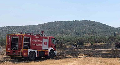 Burhaniye'de otluk alanda yangın