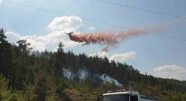 Bursa Valiliği, ormanlarda ateş yakmayı yasakladı