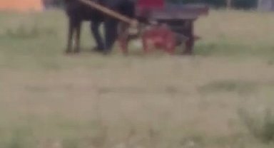 Bursa'da yürekleri sızlatan görüntü...Kendisini çeken ata böyle işkence yaptı