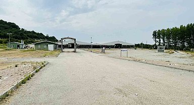 Bursa'daki hayvan pazarlarında şap karantinası