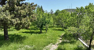 Büyükşehir Belediyesi Ormana'ya kamp ve karavan alanı kazandırıyor