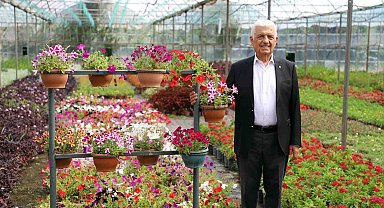 Büyükşehir destekliyor, Muğla'nın kadınları çiçek üretiyor