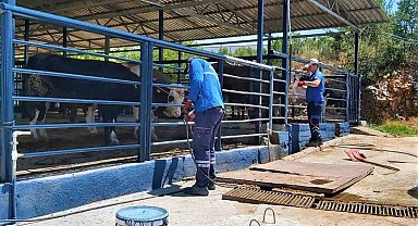 Büyükşehir Mezbahaları ile Kurban Bayramı'na hazır