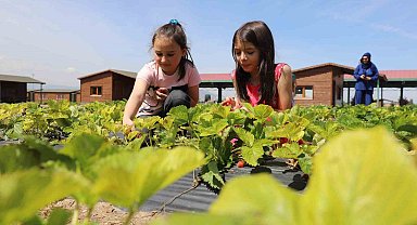 Büyükşehir'in doğal ürünler bahçesi minkleri ağırladı
