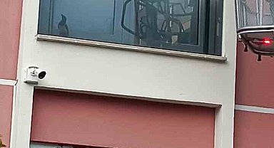 Cam balkona sıkışan güvercin ekipler tarafından kurtarıldı