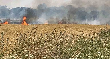 Çanakkale'de 45 dönüm tarım arazisi yanarak kül oldu