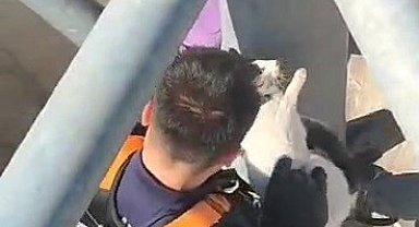 Çatıda mahsur kalan kediyi itfaiye kurtardı