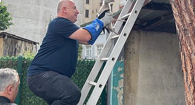 Çatıdan düşen yavru martıya vatandaşlardan şefkat eli