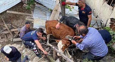 Çatıya çıkan ineği itfaiye ekipleri kurtardı