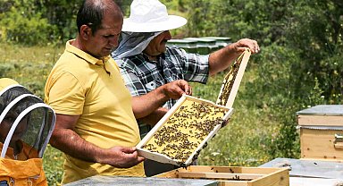 Çayırlı'da arıcılık geliştiriliyor