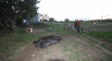 Çiftlikteki köpeğe saldıran kurt kamerada