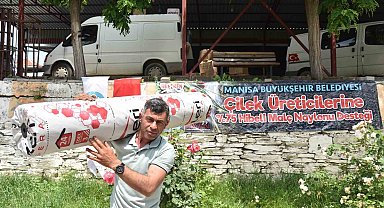 Çilek üreticisine büyükşehirden naylon desteği