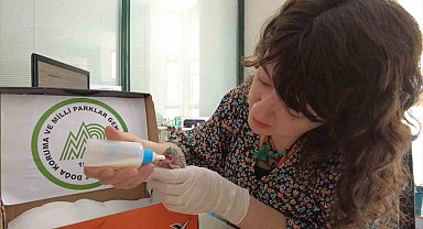 Çimleri keserken dikkat edin...