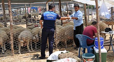 Çukurova'da Kurban satış yerleri belirlendi