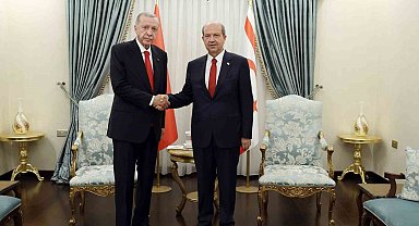 Cumhurbaşkanı Erdoğan, Tatar ile baş başa görüştü