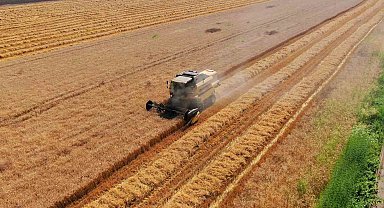 Cumhurbaşkanı Erdoğan'ın buğday fiyatı açıklaması Adanalı üreticileri sevindirdi