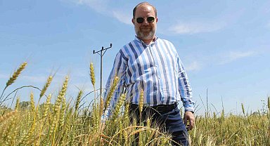 Cumhurbaşkanı Erdoğan'ın buğday fiyatı açıklaması Edirneli üreticileri sevindirdi