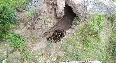 Definecilerin kazdığı çukurda mahsur kalan kaplumbağalar kurtarılmayı bekliyor