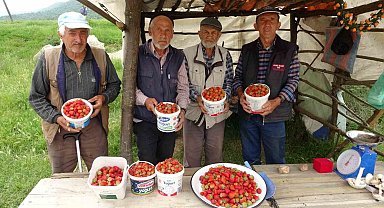 Demirciören çileği tezgahlarda