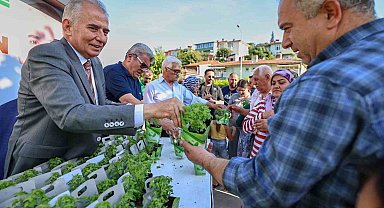 Denizli fesleğen kokacak