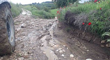 Denizli'de kekik ve adaçayı üretimi yağışlardan olumsuz etkilendi
