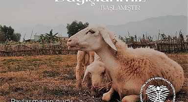 Denizli'de muhtaç, yaşlı ve çocuklara kurban bağışı çağrısı