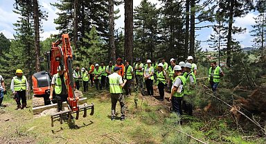 Denizli'de yeni ormanlar planlı olarak kuruluyor