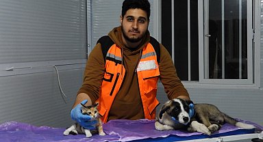 Deprem mağduru hayvanları gönüllü olarak tedavi ediyor