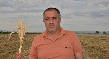 Depremzede çiftçilerin devlet desteği ile ektikleri yem bitkisi hasadı başladı