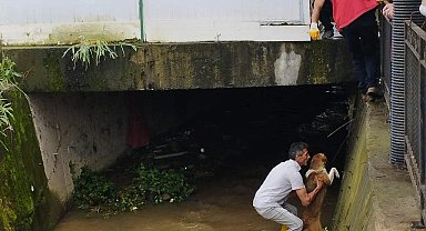 Dereye düşen köpeği itfaiye ekipleri kurtardı