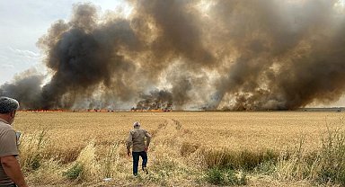 Derik'te 120 dönüm buğday tarlası küle döndü
