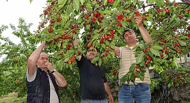 Devlet desteği ile hayalini kurduğu meyve bahçesine kavuştu