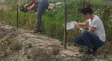 Didim'in pamuğu temiz çıktı