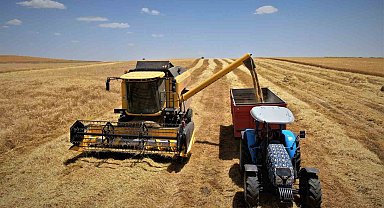 Diyarbakır hububatında tarihi rekolte: Çiftçinin yüzü güldü