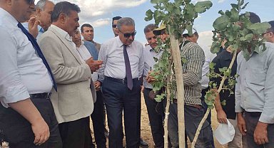Diyarbakır'da bu yıl 200 bin fıstık aşılanması hedefleniyor