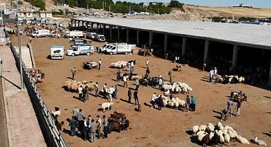 Diyarbakır'da kurban satış ve kesim yerleri belirlendi
