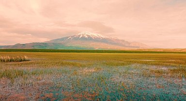 Doğa harikası Sütey Yaylası'nda renk cümbüşü