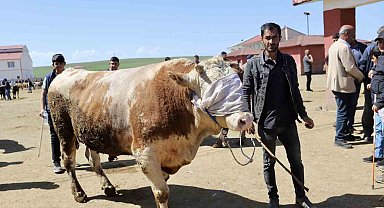 Doğu'dan Batıya kurbanlık sevkiyatı hız kazandı