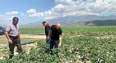 Doğubayazıt Kaymakamı Ekinci, meyve ve sebze bahçelerinde incelemelerde bulundu